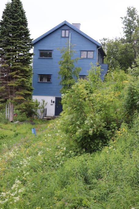 Cozy Family House Villa Tromsø Eksteriør billede